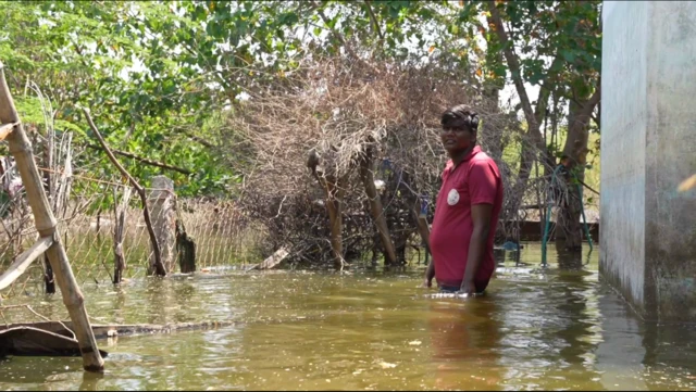 தூத்துக்குடி வடியாத வெள்ள நீர்