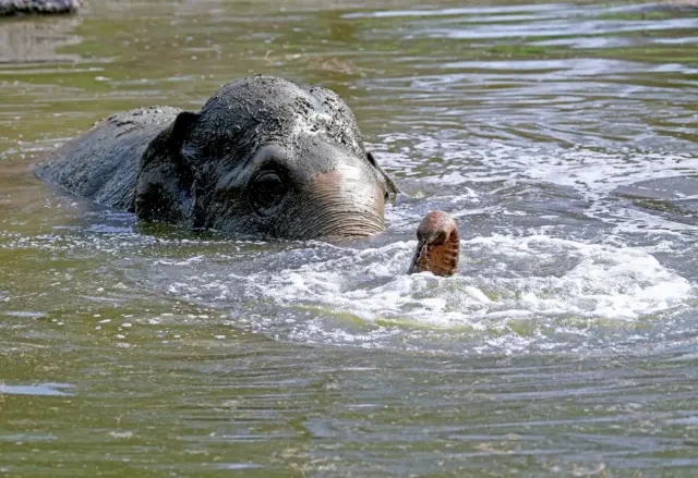 सांकेतिक तस्वीर