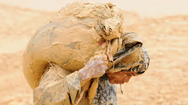 Соода согуш