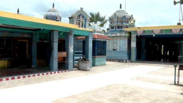 કમલા હૅરિસ, અમેરિકામાં રાષ્ટ્રપતિપદની ચૂંટણી, ભારત