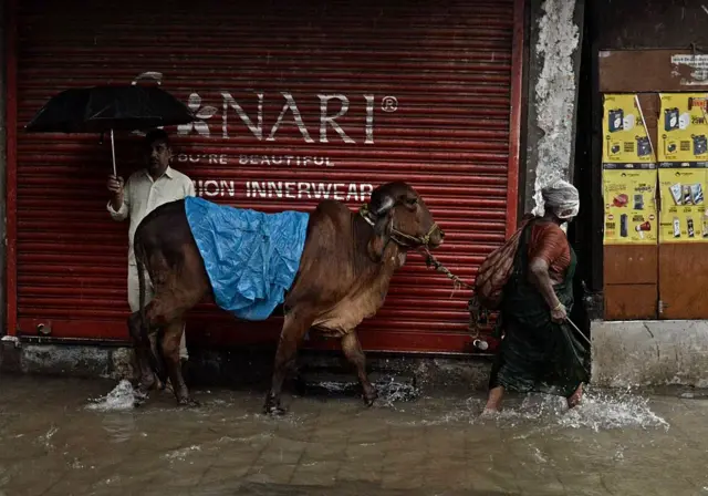 मुंबई पाऊस