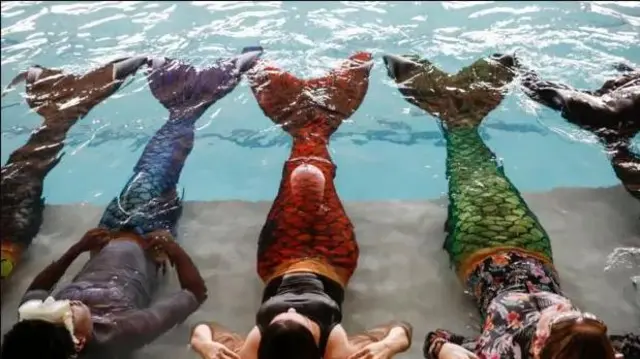 Awọn akẹkọọ kan ni orilẹ-ede South Africa sín oku jẹ nibi ayẹyẹ kan ni ile ẹkọ wọn ni Merschool lagbegbe Kayalami