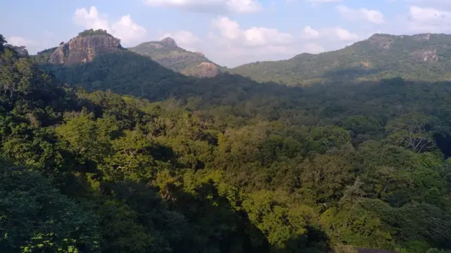 කොළපැහැ රුක්ගොමු වලින් පිරීගිය දර්ශනයක් මෙම කඳුමුදුන්වලට ගියහොත් දැකගනීමට හැකිවෙයි. වන සතුන්ගේ හඬ මිස වෙනත් හඬක් නොඇසෙන මෙම රක්ෂිත කලාපය එහි ස්වභාව සෞන්දර්යයෙන් ඕනෑම අයෙකුගේ මනස සුවපත් කරයි.