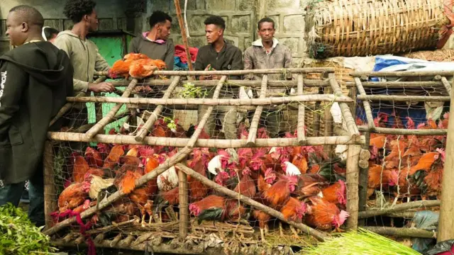ኢትዮጵያውያን በእንቁጣጣሽ እንደ አቅማቸው ዶሮ፣ በግ ወይም በቅርጫም ቢሆን የበሬ ሥጋ በመጫረት ክብረ በዓሉን ያደምቁታል።
