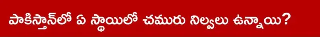 పాకిస్తాన్