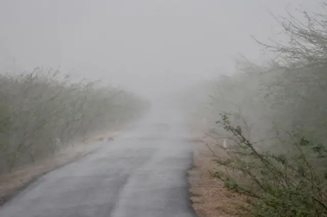 વરસાદ