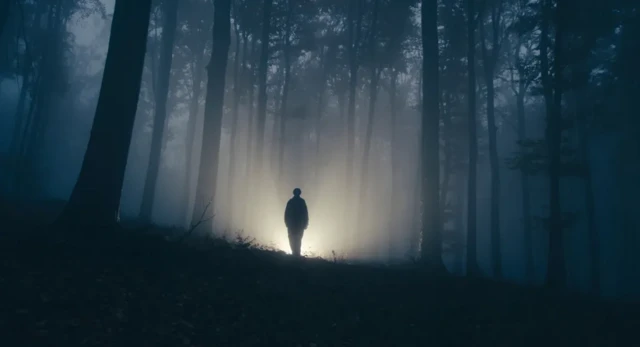 คนหลงป่า