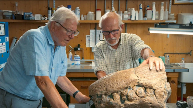 Sir David dan Steve Etches