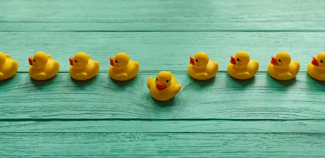 Patos en línea con uno yendo para otro lado