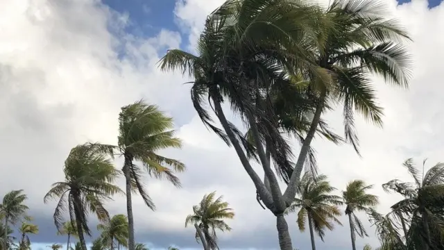 ट्रेवेल, डिस्अप्वाइंटमेंट आइलैंड्स