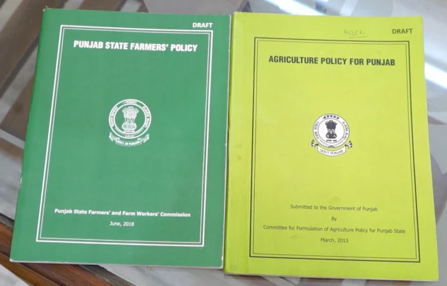 ਖੇਤੀਬਾੜੀ