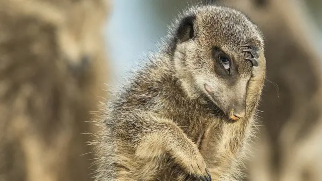 ውይውይ! ጠፊአ! 