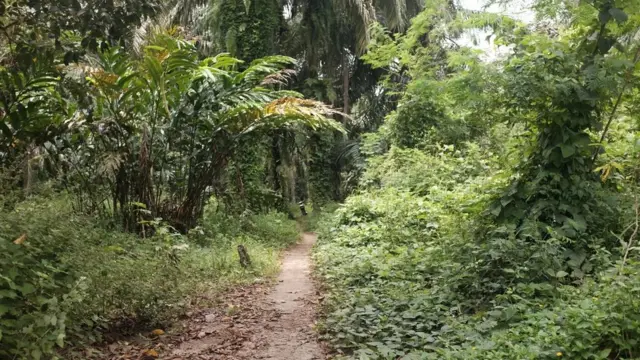 Jalan setapak menuju salah satu gereja di Desa Mandumpang, Aceh Singkil