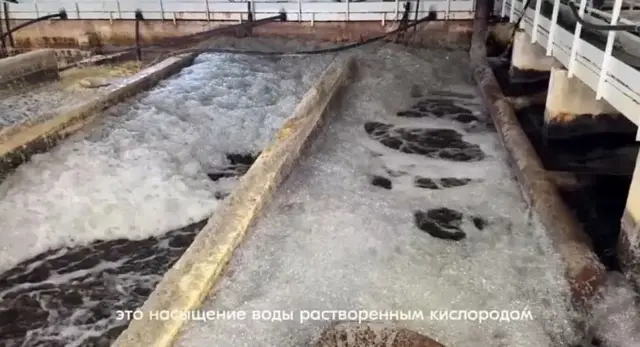 На фото продемонстрирован процесс насыщения воды растворенным кислородом