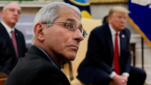 Энтони Фаучи, президент США Трамп и губернатор Луизианы Джон Бэл Эдвардс