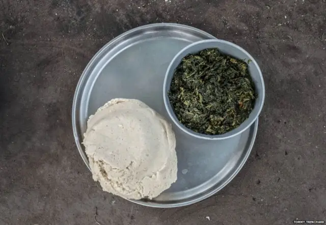 शरणार्थी कैंप