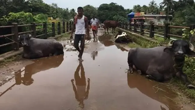 வெள்ளம் வடிந்தது: கேரளவாசிகள் எதிர்கொள்ளும் சவால்கள் என்ன?