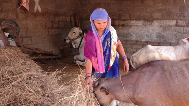 పల్నాడు