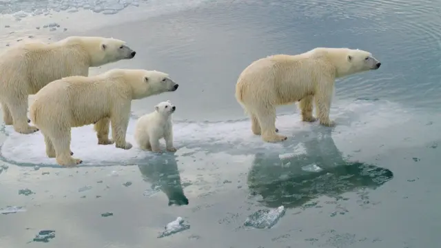 गायब झालेलं प्रतिबिंब
