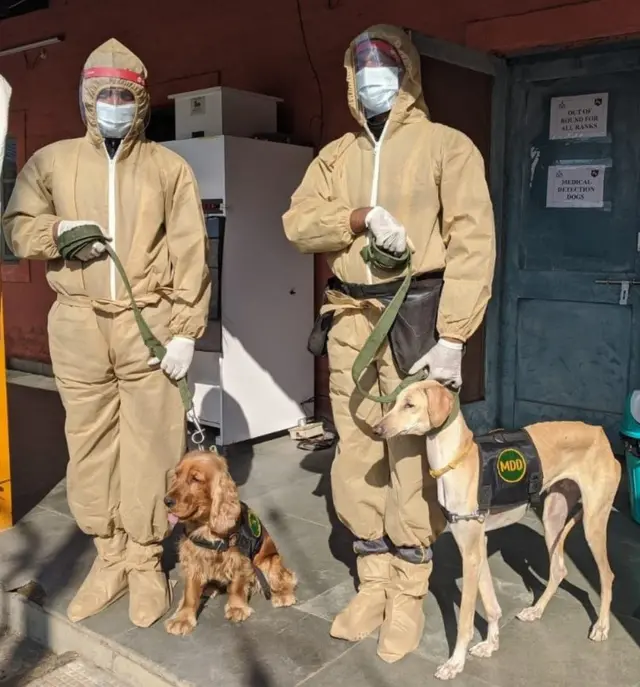 భారత సైన్యంలో ముధోల్ కుక్క