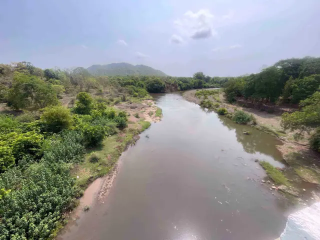 ગીર સિંહ, એશિયાઈ સિંહ, ગીરનું અભ્યારણ્ય, સિંહની ત્રાડ, સિંહની ગર્જના, સિંહનું પ્રજનન સંવનન, સિંહોનો પેશાબ શું સૂચવે છે, બીબીસી ગુજરાતી સાથે સમજો