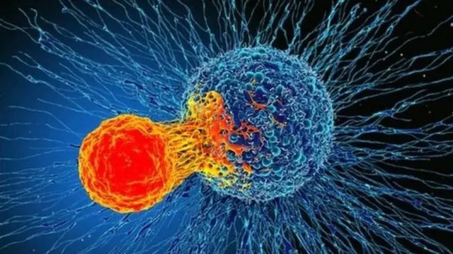 ગ્રાફિક