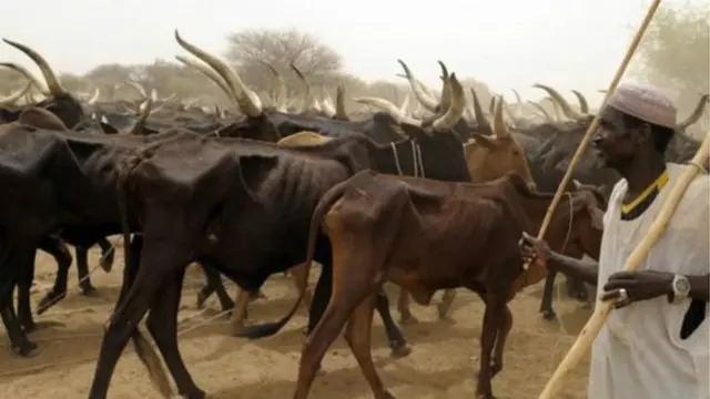 Wani Bafulatani makiyayi