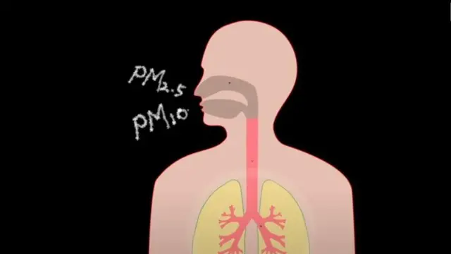 वायु प्रदूषण