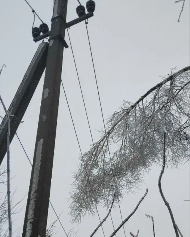 Гілка впала на лінії електропередач на Київщині 