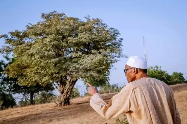 Buhari eid