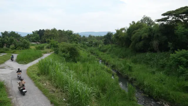 Pandan simping yang disebut pernah menjadi tempat eksekusi orang-orang yang dituduh berhubungan dengan PKI