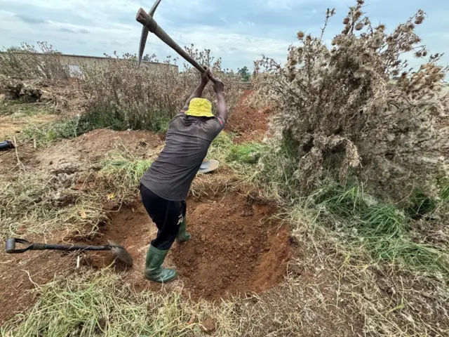 One man use pickaxe to dig up land wia e dey look for gold outside Springs, Ekurhuleni, South Africa