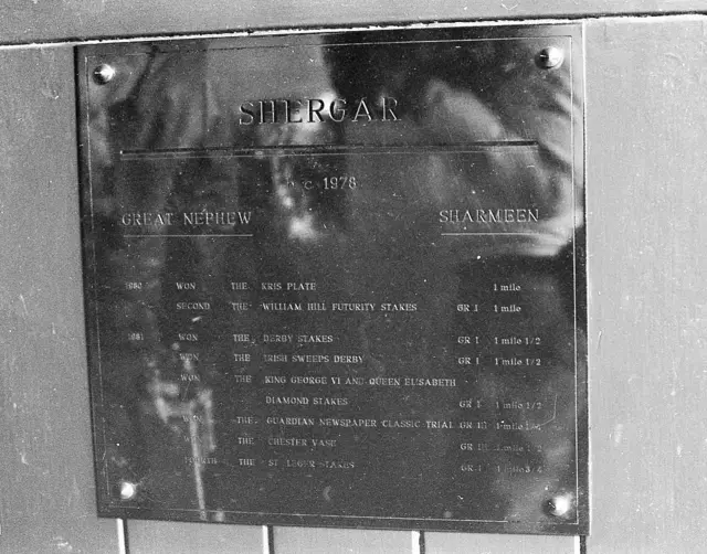 રેસનો ઘોડો, શેરગર, આગાખાન, ઇતિહાસ, બીબીસી ગુજરાતી