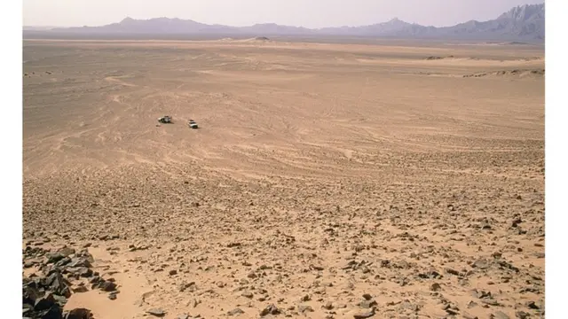 Les experts pensent que leur système de suivi pourrait servir de base pour trouver des arbres dans d'autres écosystèmes.