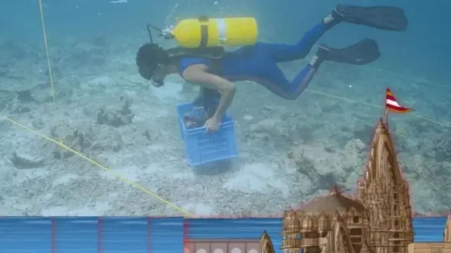 துவாரகை, அகழாய்வு, குஜராத், இந்தியா