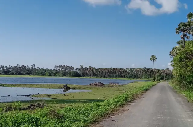 මෙම සුන්දර දූපතේ ඔබට ලබා ගත හැකි උපරිම වින්දනය ලබා ගෙන එම දූපතේ පරිසරයට හානියක් නොවන පරිදි කටයුතු කර නැවත පැමිණීම සංචාරක ඔබගේ වගකීමයි.