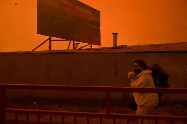 Una residente evacuó su casa con su perro durante un incendio forestal en Concepción, Chile, el 18 de enero de 2026.