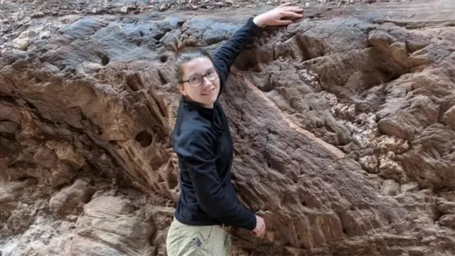 पृथ्वी की चट्टानें