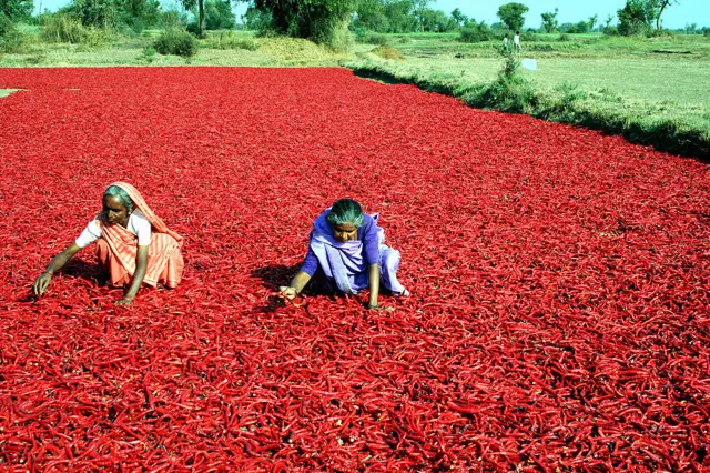 મસાલા મોંઘા