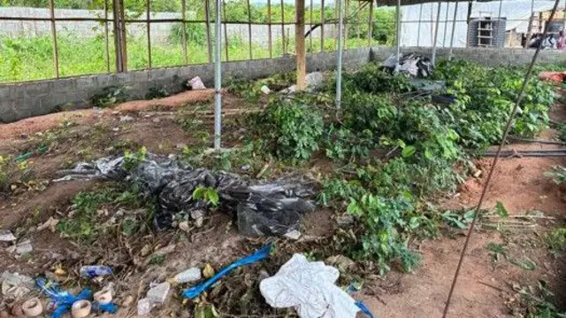 Ibudo ti wọn ti n se oogun oloro lọna aitọ