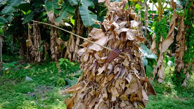 onye kpu uwe mmanwụ ma jide ụtalị na-aka