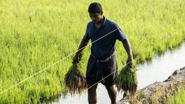 પ્રતિકાત્મક તસવીર