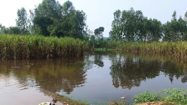 उत्तर प्रदेश बाढ़