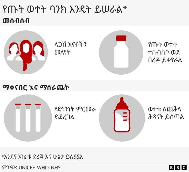 የጡት ባንክ እንዴት ይሰራል?