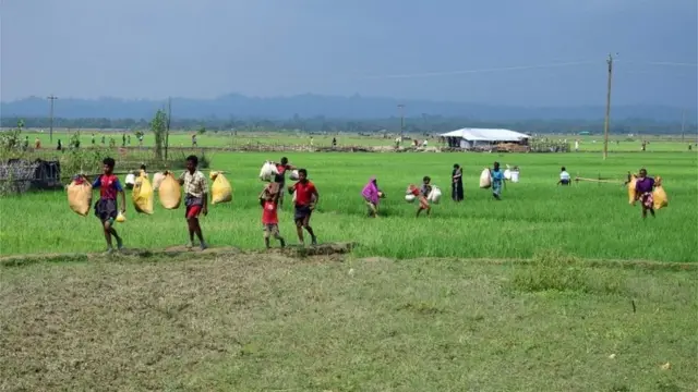 Беженцы рохинджа