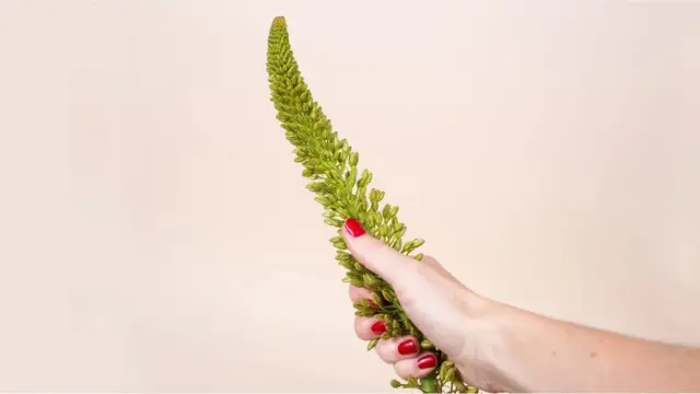 સંશોધનોમાં જોવા મળ્યું છે કે ઋતુ ચક્ર પ્રમાણે સ્ત્રીની કામેચ્છામાં ચઢાવઉતાર આવતો રહે છે