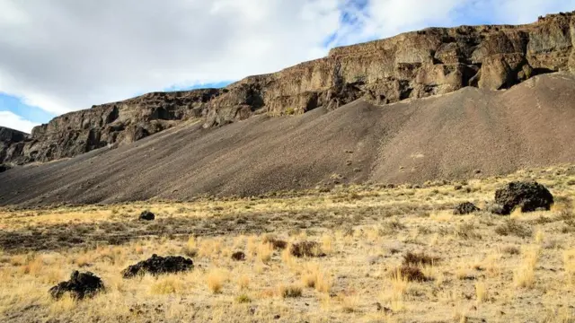 （圖片來源：Zack Frank）