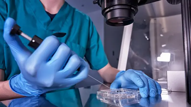 பெண்கள் கருத்தரிக்காமலே போனால் உலகம் என்னவாகும்?