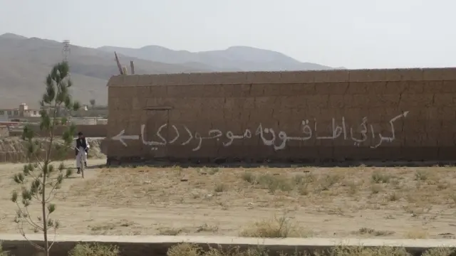 وردګ پوهنتون