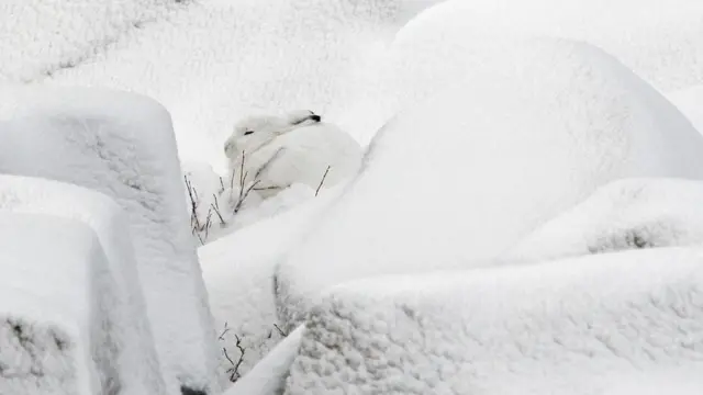冰雪